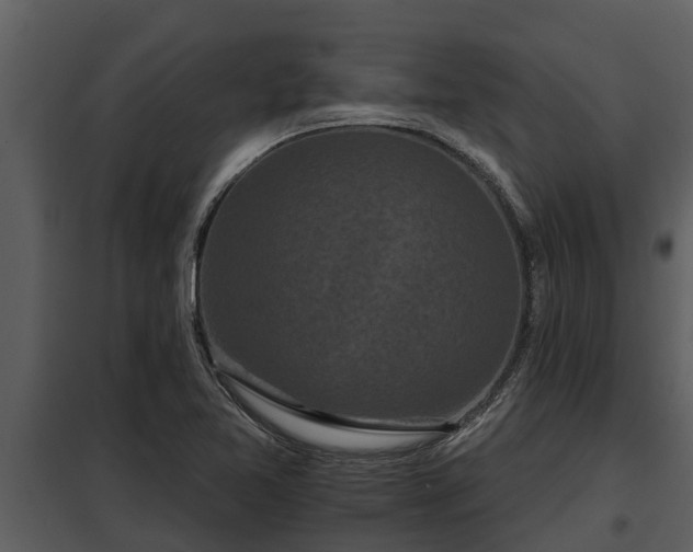 X0000097951365200804011625