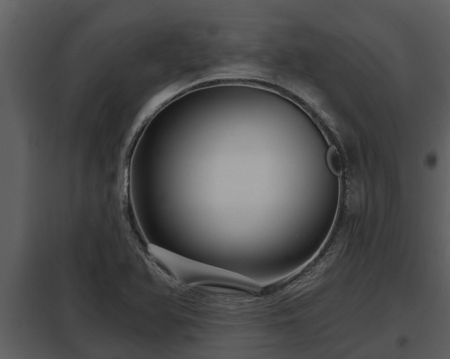 X0000097951366200804011625