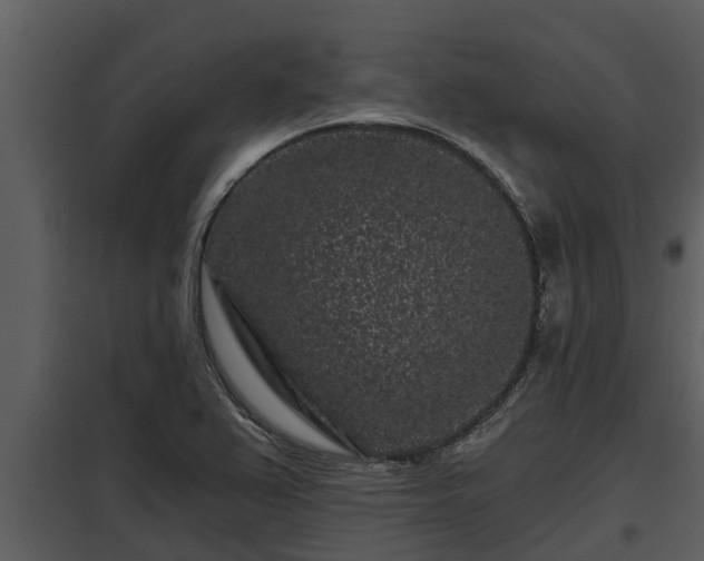 X0000097951367200804011624
