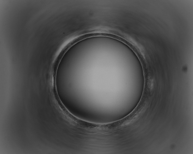 X0000097951368200804011624