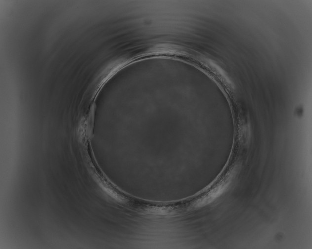 X0000097951369200804011624