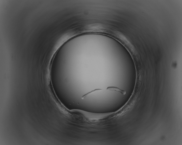 X0000097951370200804011624