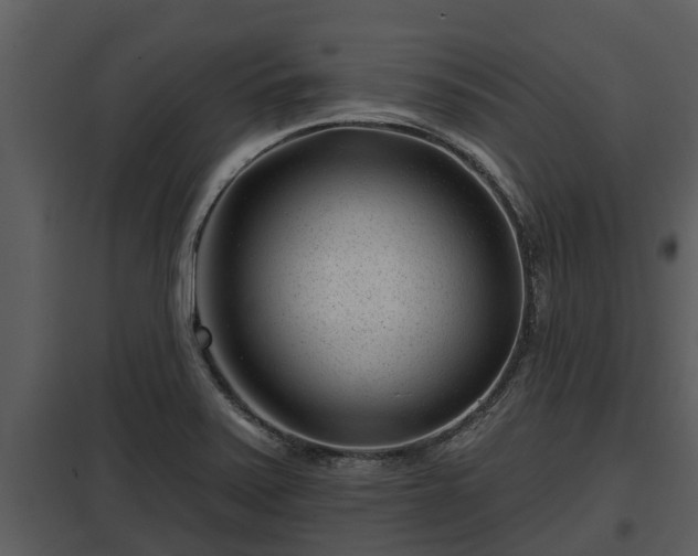 X0000097951371200804011624