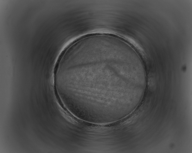 X0000097951372200804011624