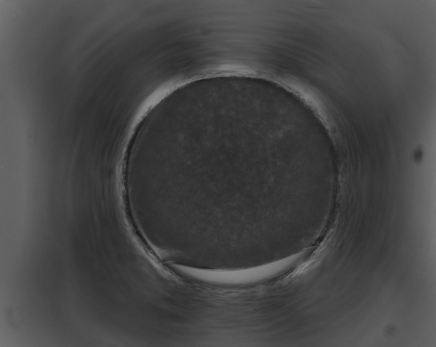 X0000097951373200804011624