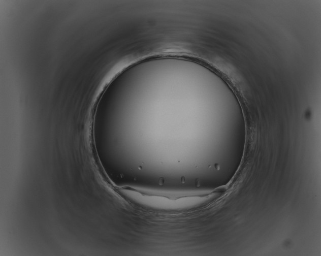 X0000097951374200804011624