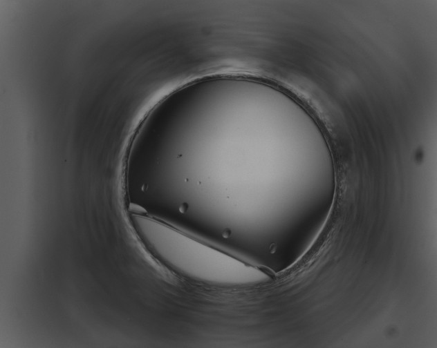 X0000097951375200804011624