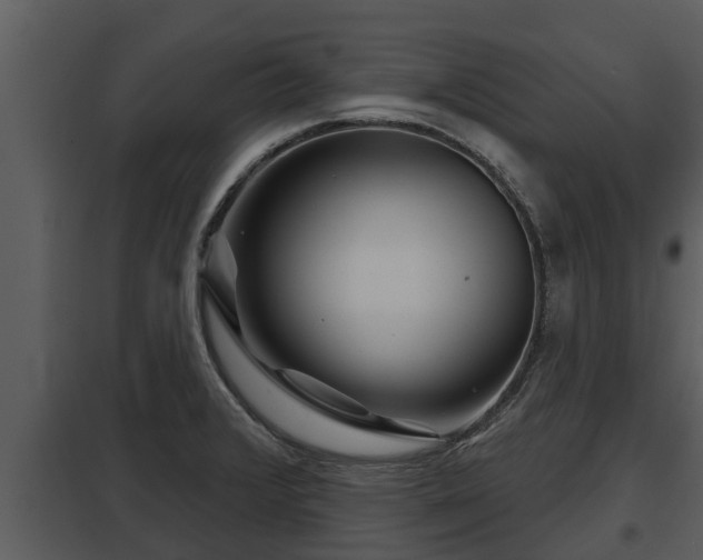 X0000097951376200804011624