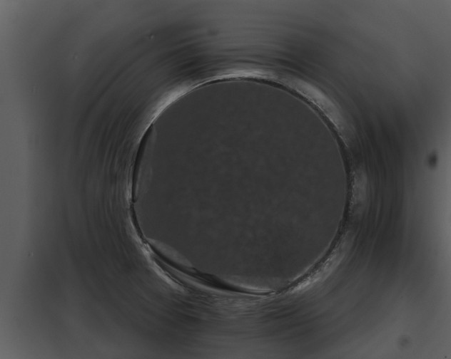 X0000097951377200804011624