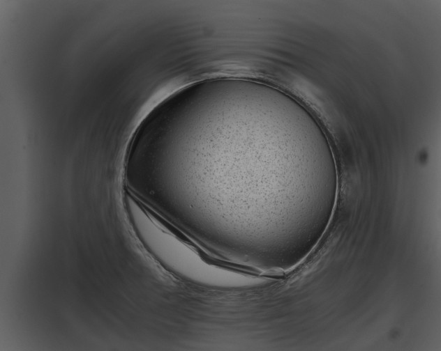 X0000097951378200804011624