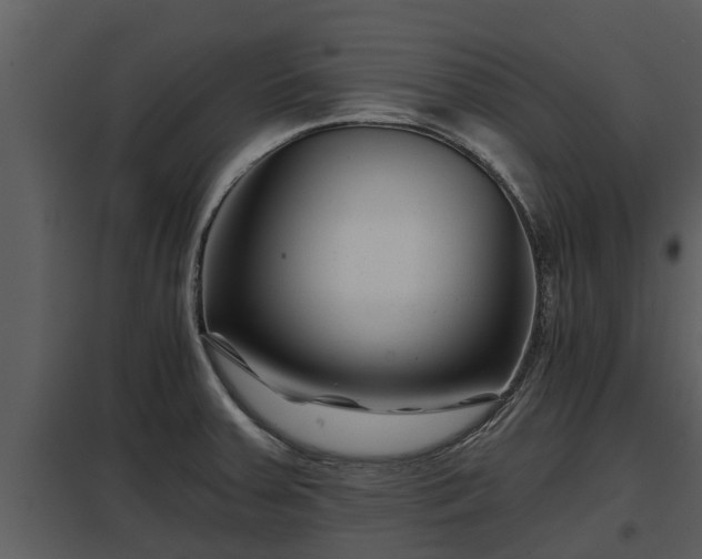 X0000097951379200804011624
