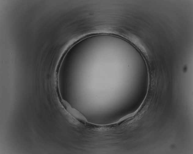 X0000097951380200804011624