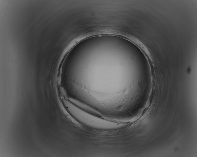 X0000097951381200804011624