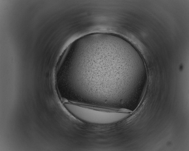 X0000097951382200804011624