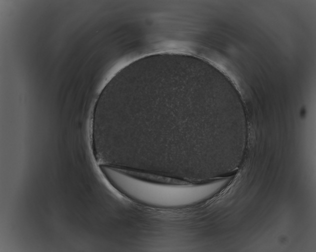 X0000097951383200804011624