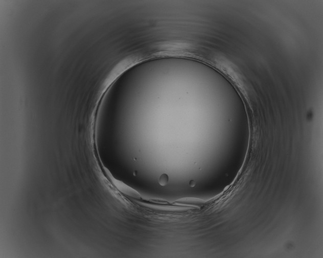X0000097951386200804011624