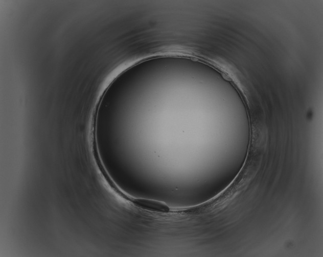 X0000097951387200804011624