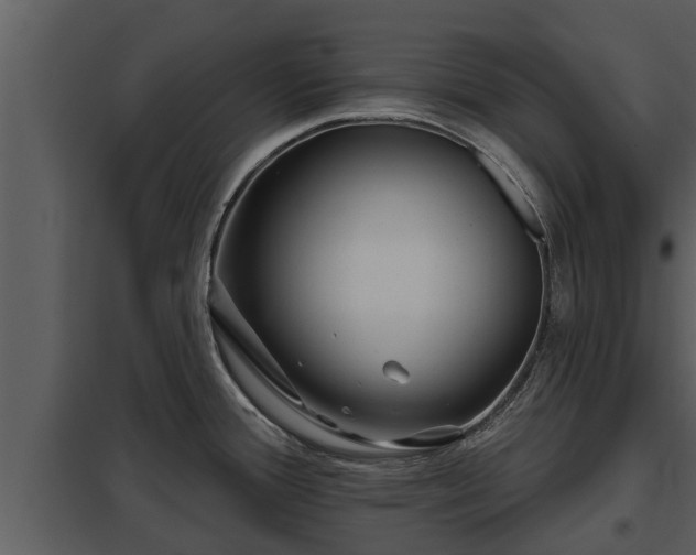 X0000097951388200804011624