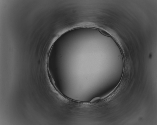 X0000097951390200804011624