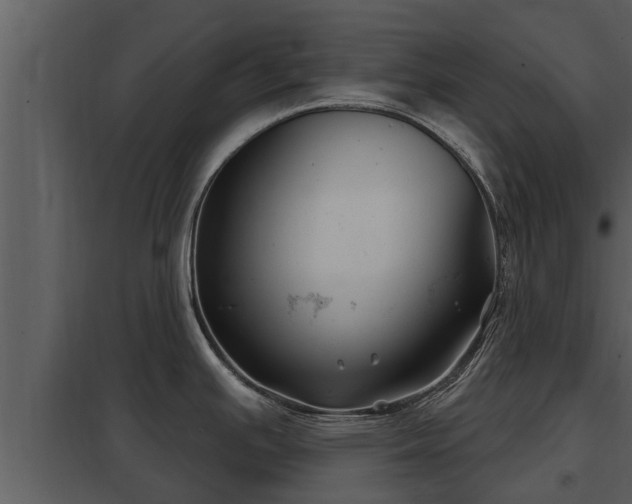 X0000097951391200804011624
