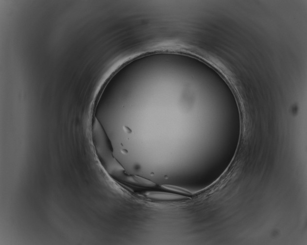 X0000097951392200804011624