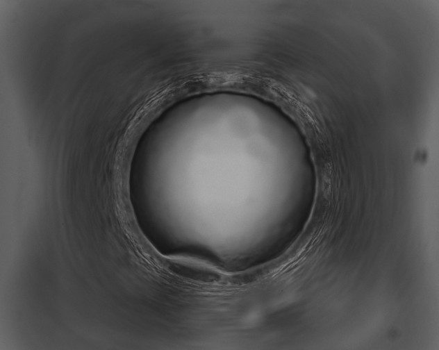 X0000097951393200804011623