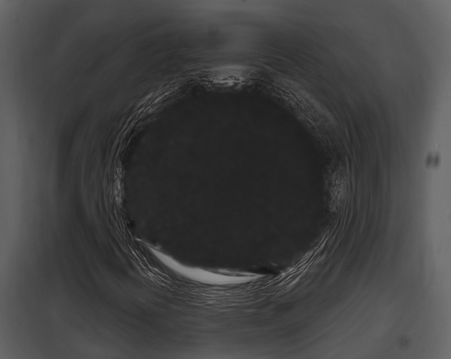 X0000097951394200804011623