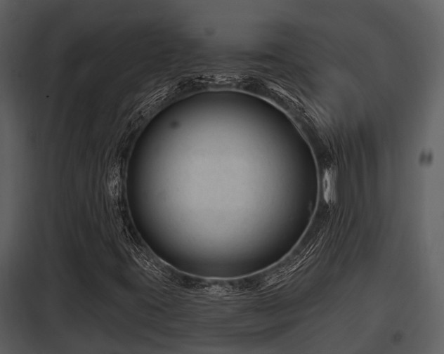 X0000097951395200804011623
