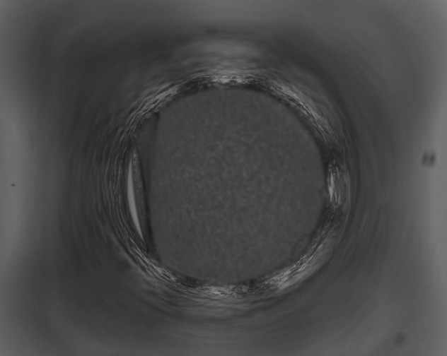 X0000097951396200804011623