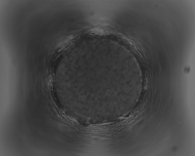 X0000097951397200804011623