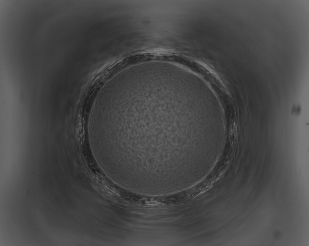 X0000097951398200804011623