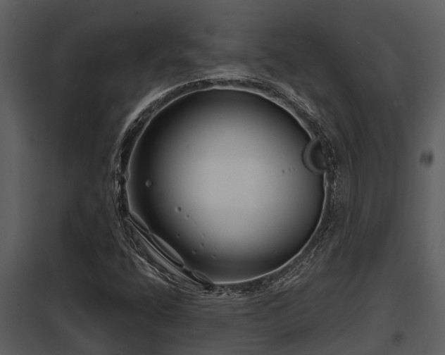X0000097951400200804011623