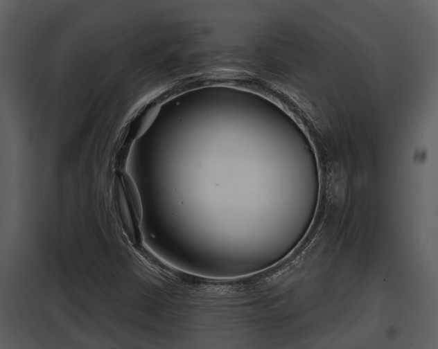 X0000097951402200804011623