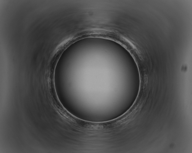 X0000097951403200804011623