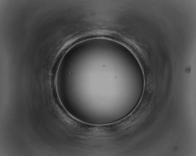 X0000097951404200804011623