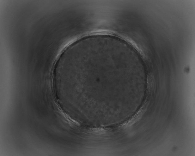 X0000097951405200804011623