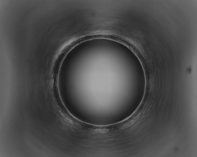X0000097951406200804011623