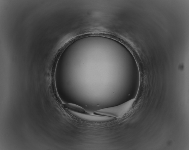 X0000097951407200804011623
