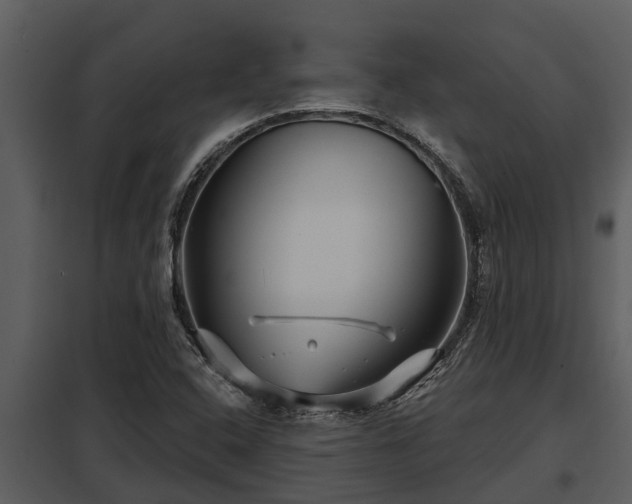 X0000097951408200804011623