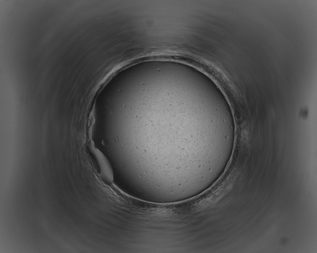 X0000097951409200804011623