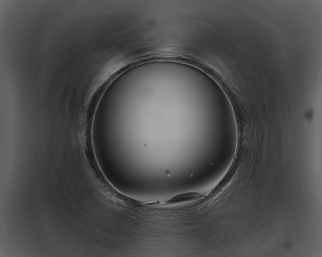 X0000097951410200804011623