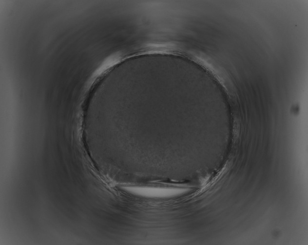 X0000097951411200804011623