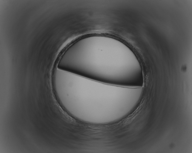 X0000097951412200804011623