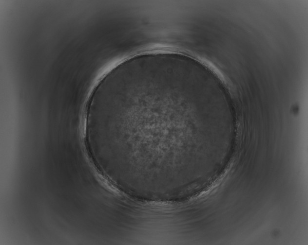 X0000097951413200804011623