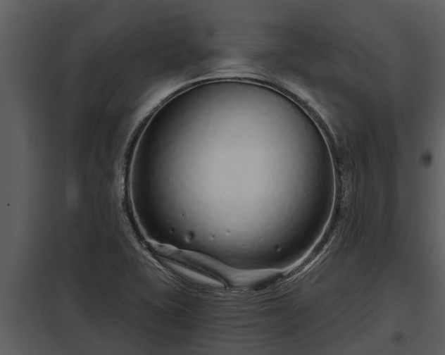 X0000097951415200804011624