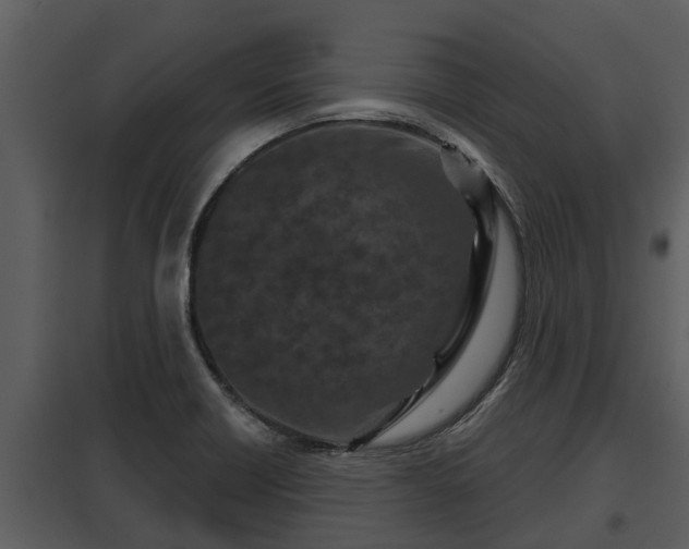 X0000097951418200804011624
