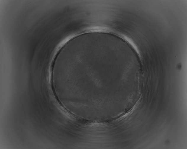 X0000097951419200804011624
