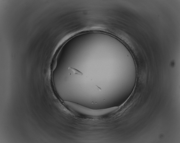 X0000097951420200804011624