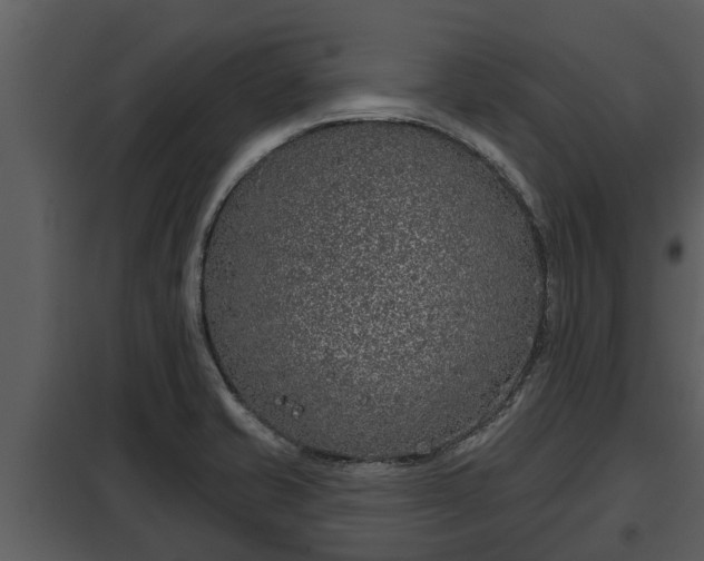 X0000097951421200804011624