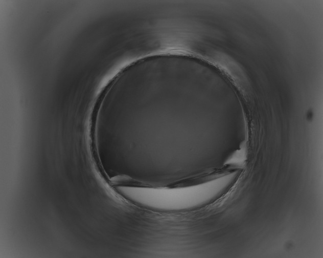 X0000097951422200804011624